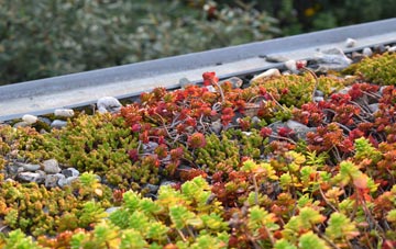 the cost of Bissom green roof installation