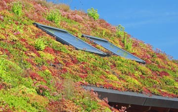 Bissom living roof systems