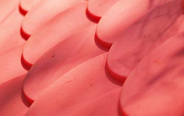 Bissom plastic roof costs